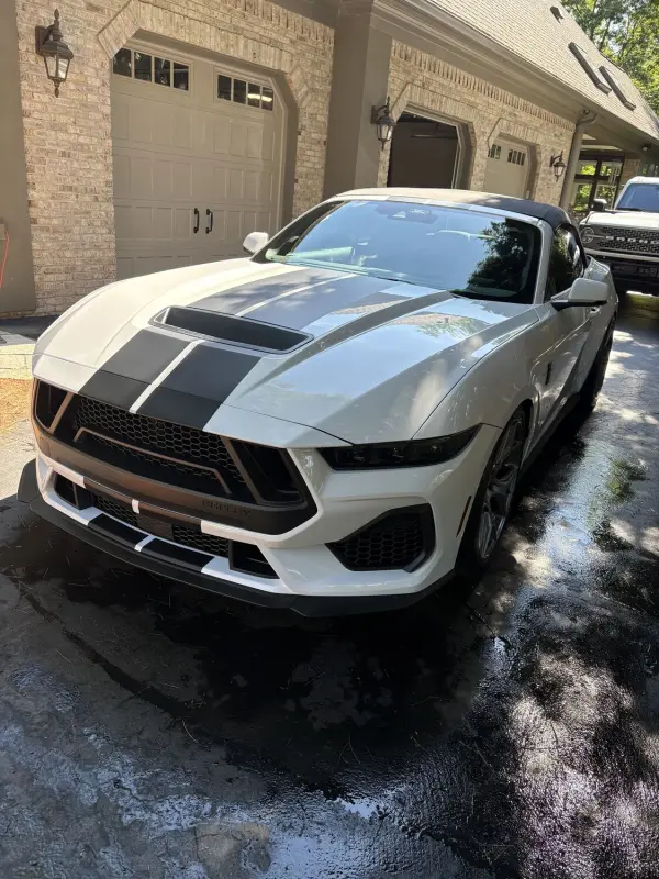 Detailed Mustang with racing stripes